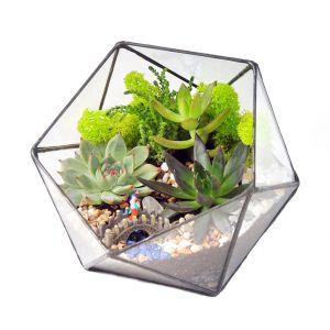 TOP 100 des idées de création (photo et vidéo)