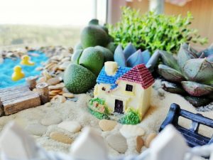 TOP 100 des idées de création (photo et vidéo)