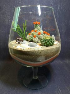 TOP 100 des idées de création (photo et vidéo)