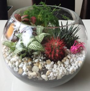 TOP 100 des idées de création (photo et vidéo)