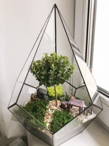 TOP 100 des idées de création (photo et vidéo)