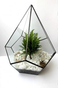 TOP 100 des idées de création (photo et vidéo)