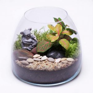 TOP 100 des idées de création (photo et vidéo)