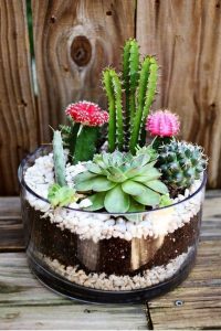 TOP 100 des idées de création (photo et vidéo)