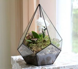 TOP 100 des idées de création (photo et vidéo)