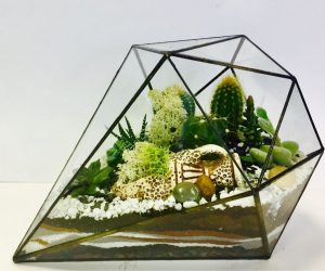 TOP 100 des idées de création (photo et vidéo)