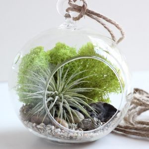 TOP 100 des idées de création (photo et vidéo)