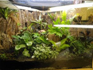 TOP 100 des idées de création (photo et vidéo)