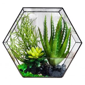 TOP 100 des idées de création (photo et vidéo)