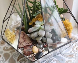 TOP 100 des idées de création (photo et vidéo)