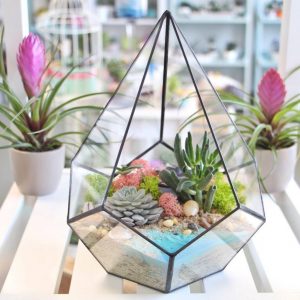 TOP 100 des idées de création (photo et vidéo)