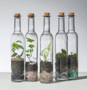 TOP 100 des idées de création (photo et vidéo)