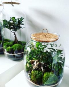 TOP 100 des idées de création (photo et vidéo)