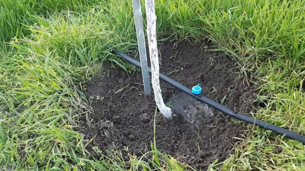 Irrigation goutte à goutte pour les arbres