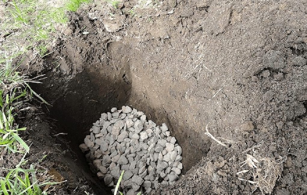 Fosse de plantation bien faite pour un arbre fruitier