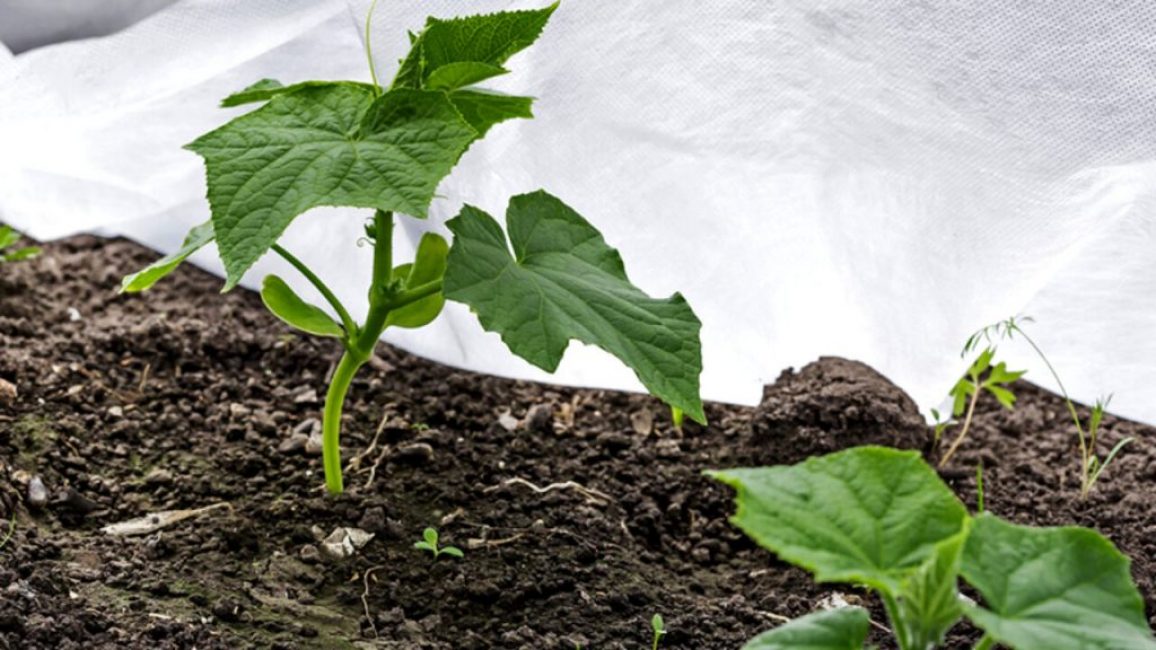 Matériau de revêtement pour lits