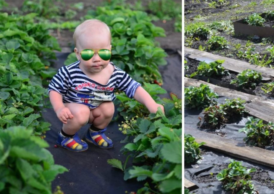 Spunbond recouvrant un matériau non tissé