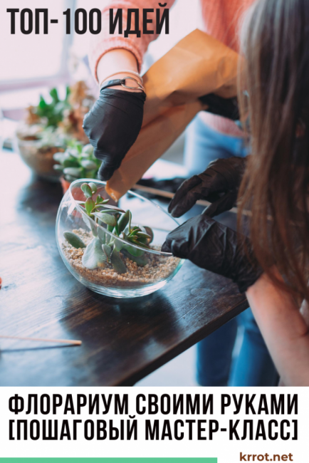 florarium à faire soi-même