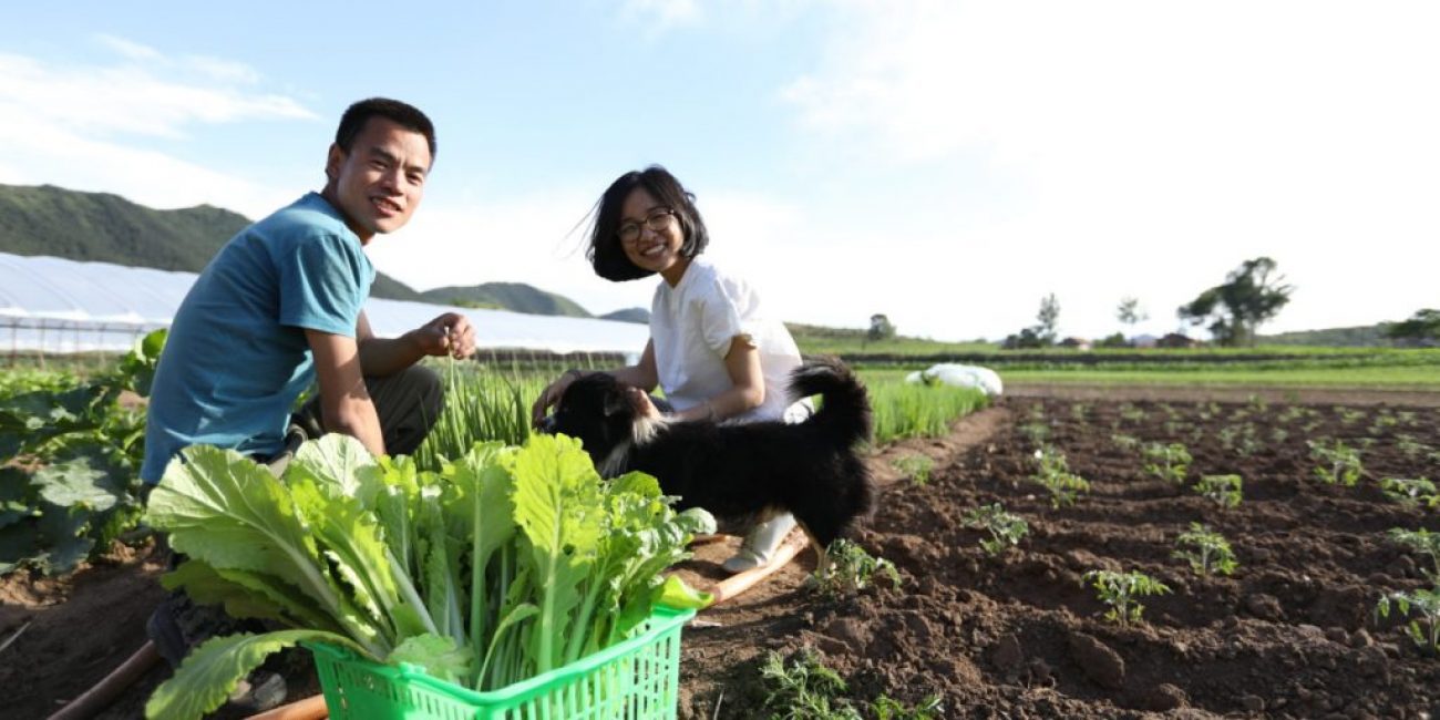 La bonne approche du travail du sol est la clé d'une récolte réussie