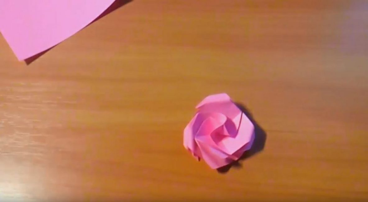 La première version de notre rose est prête