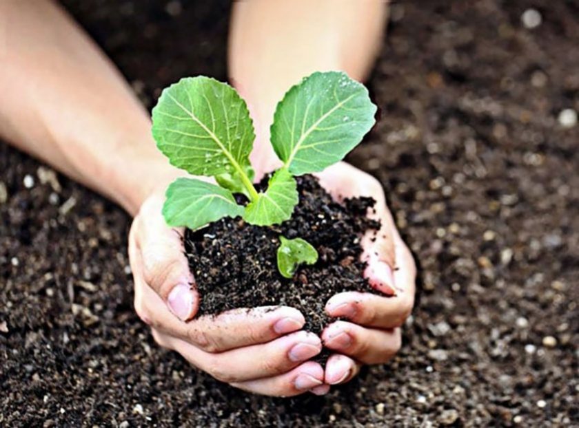 Comment faire du chauffage dans une serre