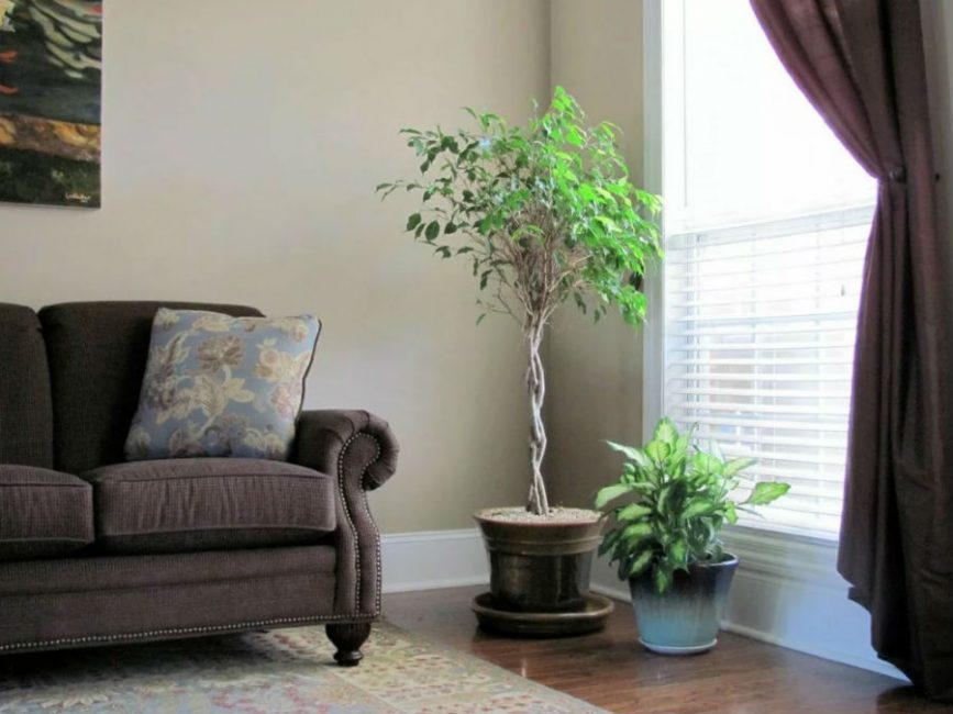 L'éclairage est un facteur important