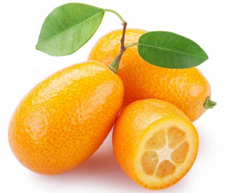 Kumquat