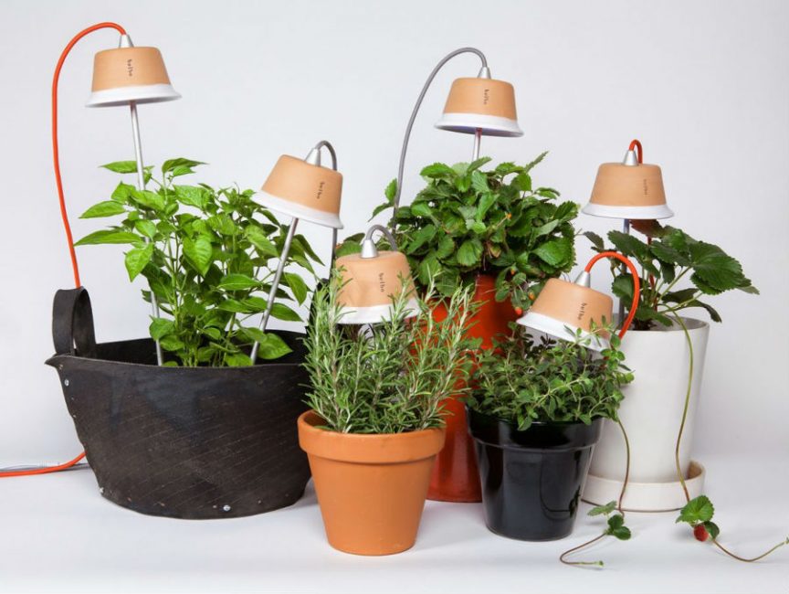 Mise en évidence supplémentaire