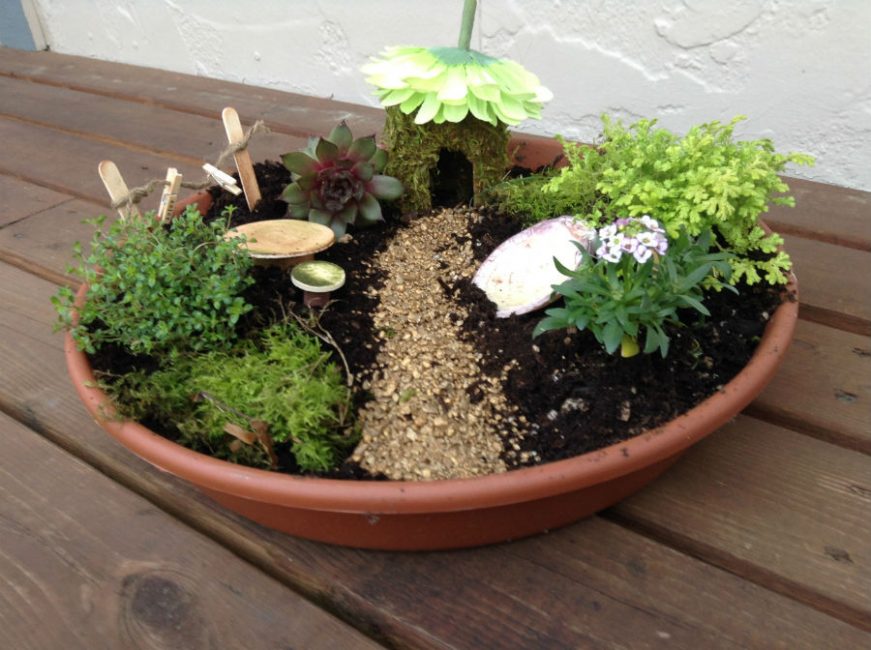 jardin miniature