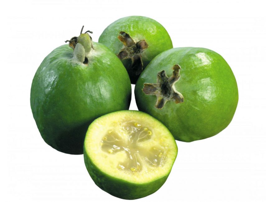 feijoa