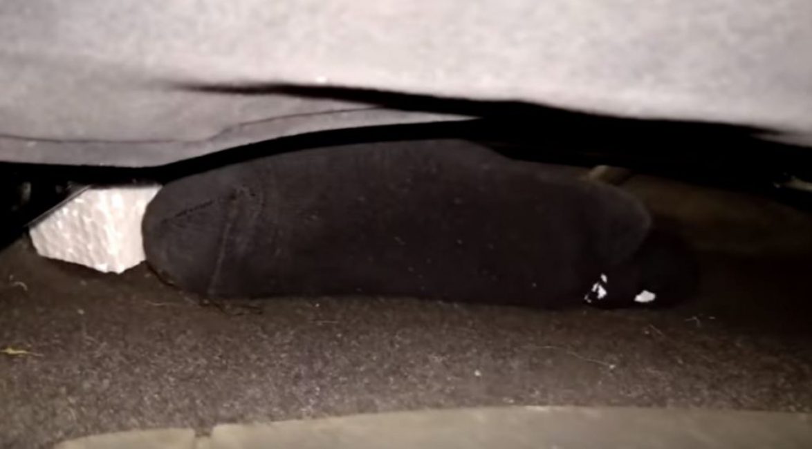 Nous plaçons dans le salon