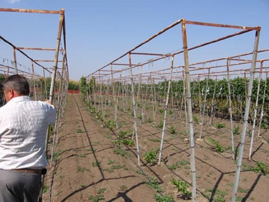 Treillis à deux plans