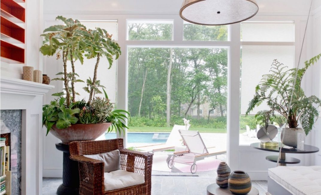 Regrouper les plantes d'intérieur