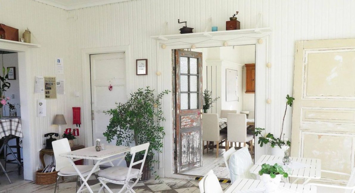 Plantes d'intérieur à l'intérieur de la maison