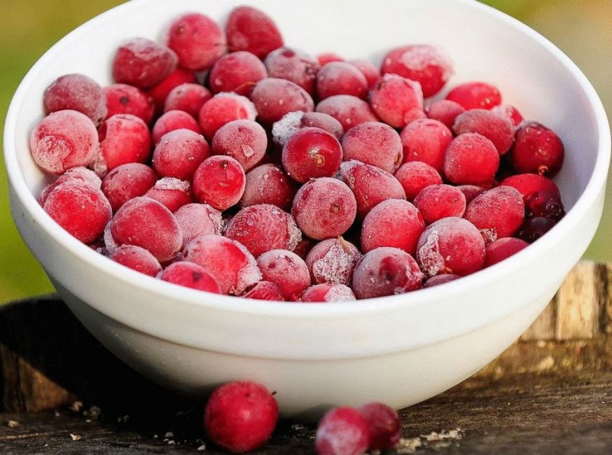 Guérisseur de la forêt