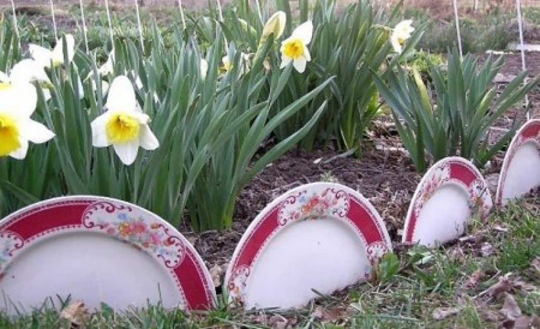 Clôture pour un parterre de petites plaques de faïence