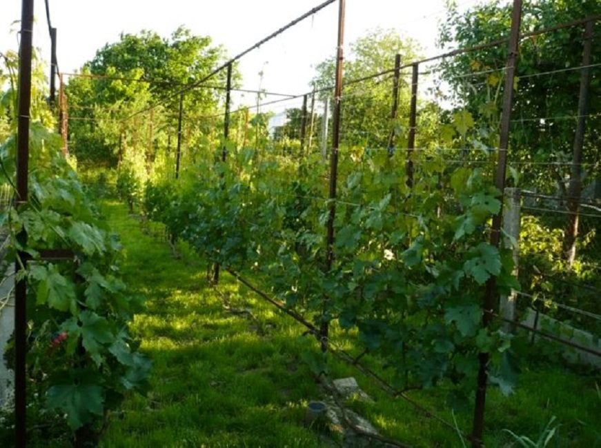 Assistance dans un seul avion