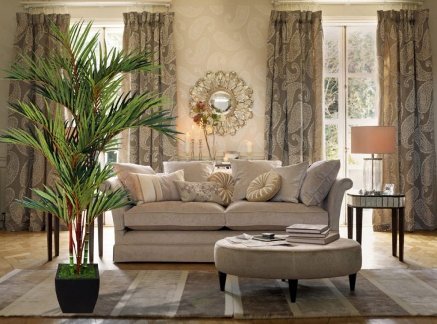 Palmier à l'intérieur