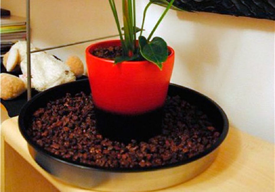 Plateau avec galets pour plantes en pot