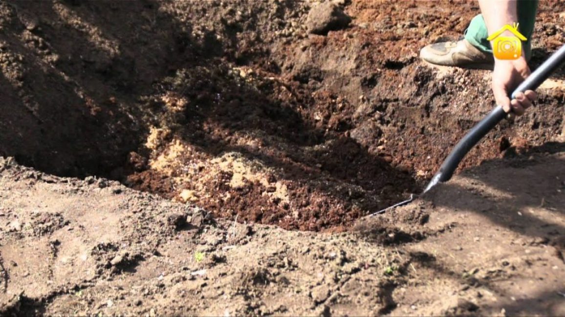 La préparation du mélange de sol dans ce cas peut être effectuée directement dans la dépression formée.
