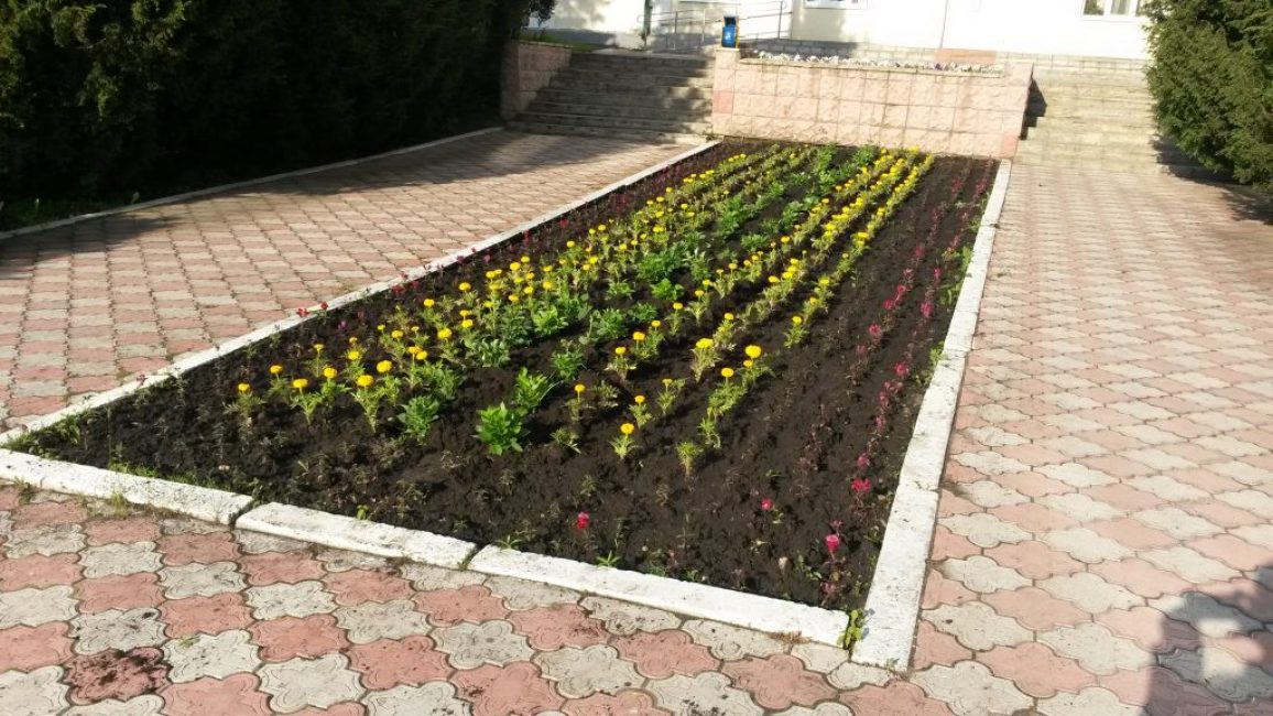 Se poser sur un parterre de fleurs
