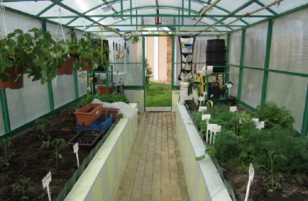 Plantation en serre de différentes cultures en même temps