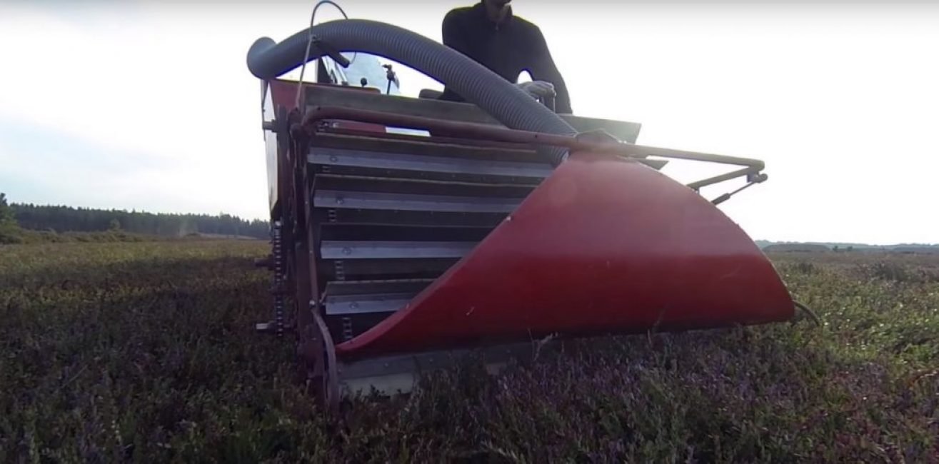 Appareil pour cueillir des canneberges
