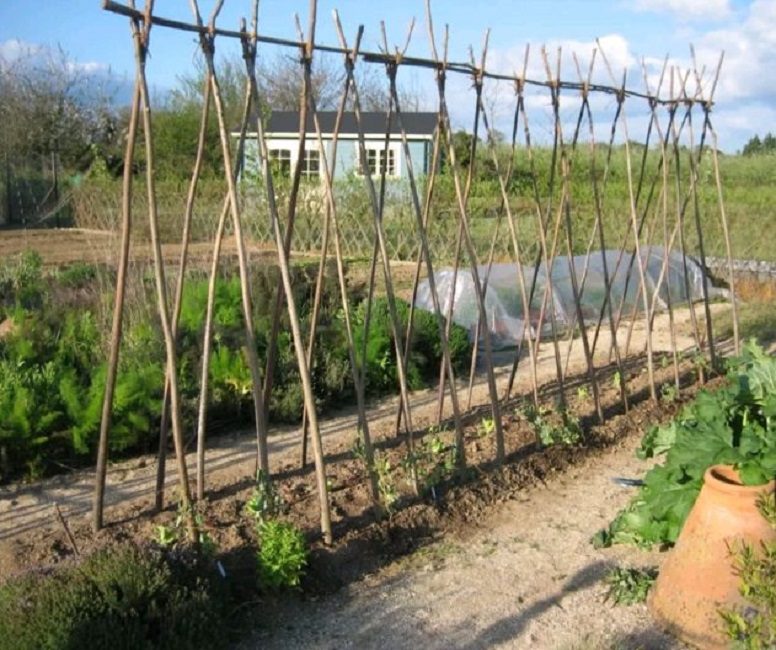 Le treillis le plus simple du site