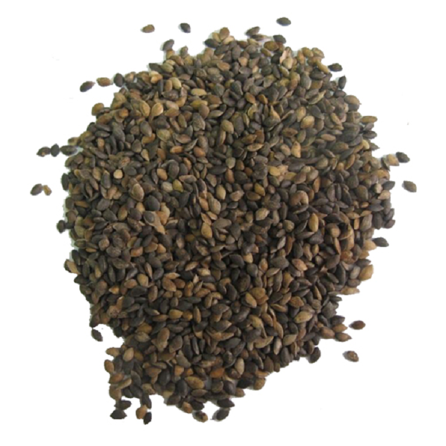 graines de canneberge