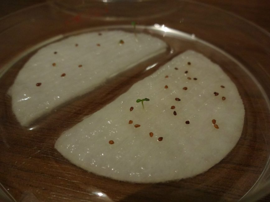 Cultiver des primevères à partir de graines à la maison