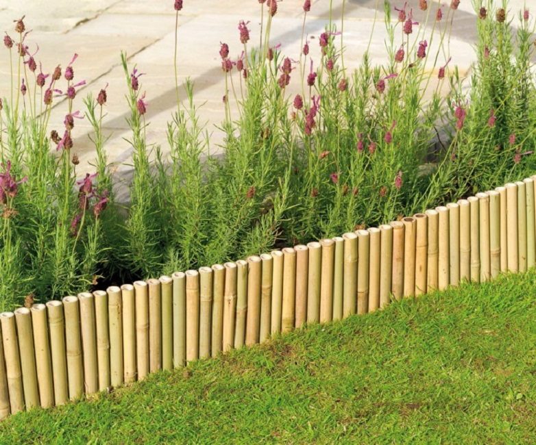 clôture en bambou