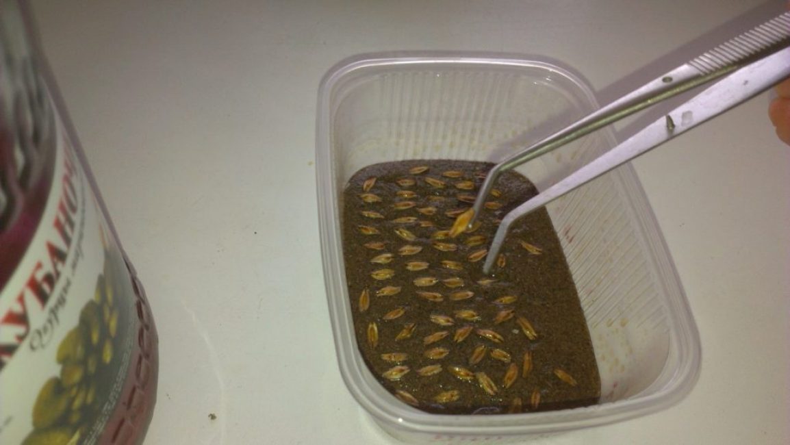 Signet pour la stratification