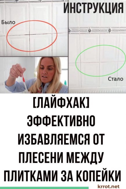 Se débarrasser de la moisissure