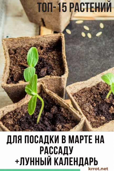 en mars pour les semis